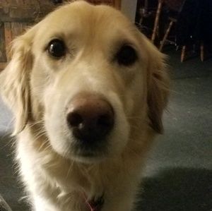 Meet your Posher, Kristy